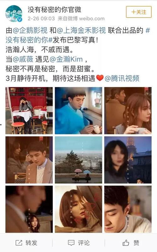 吃瓜群众小狼狗视频,揭秘娱乐圈幕后故事