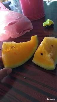 扫码吃瓜群,揭秘网络社交新潮流