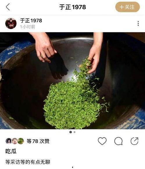 网友被绿吃瓜,一场网络情感风暴的发酵