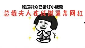 总裁夫人 吃瓜,揭秘豪门背后的吃瓜风云