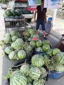 浙科吃瓜事件,揭秘校园网络舆论风波背后的真相