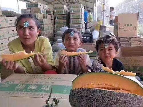 广西柳州吃瓜视频,一场视觉与味觉的双重盛宴