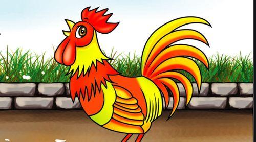 属鸡吃瓜,揭秘生肖鸡的独特饮食习惯