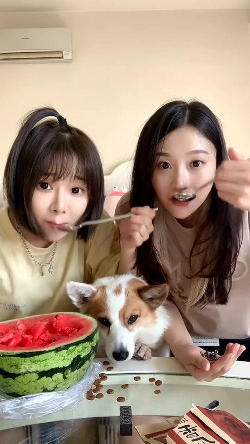 吃瓜最新闺蜜,揭秘吃瓜闺蜜的甜蜜日常