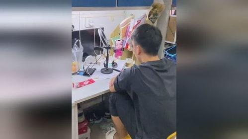 宿舍吃瓜视频原创,揭秘校园生活趣味瞬间