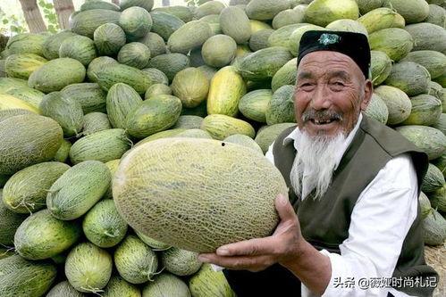 钳子吃新疆哈密瓜