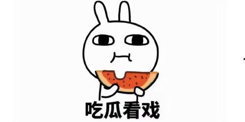 吃瓜小助理文案短句,趣味短句，轻松解读生活百态