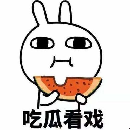 吃瓜起诉,揭秘网络舆论背后的法律纷争