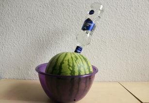 国外大型吃瓜,揭秘国外大型“吃瓜”盛宴