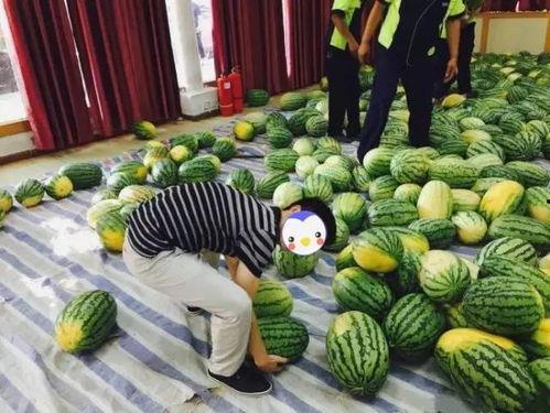 学校吃瓜买瓜,吃瓜买瓜那些事儿