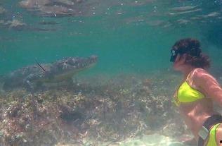 新疆美女水下吃瓜图片,别样风情展现大美西域