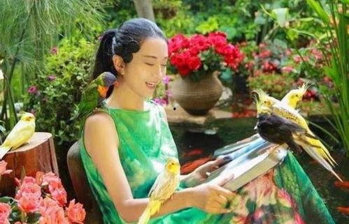 吃瓜在仙境4,吃瓜者的奇幻之旅