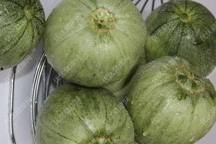 孕妇吃瓜叶好吗,孕妇适量吃瓜叶有益健康