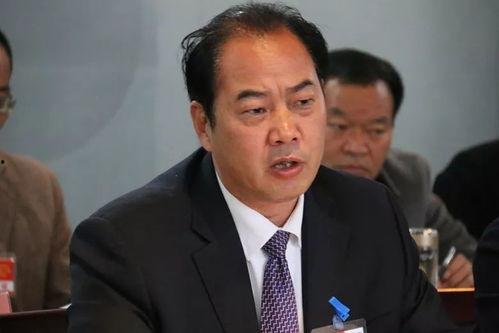 蒋锡培吃瓜,揭秘企业家背后的趣味生活