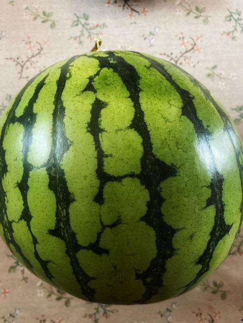 南宁演艺吃瓜,幕后故事与精彩瞬间