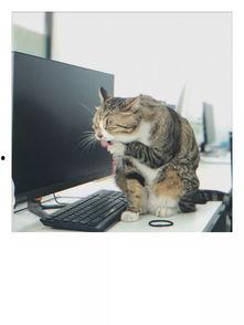 吃瓜作妖,揭秘网络“作妖”背后的真相