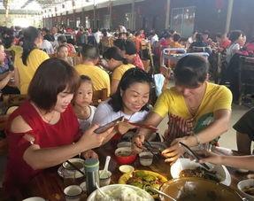 林州吃瓜排排坐,吃瓜排排坐，共享夏日清凉时光