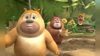 会吃瓜的熊,揭秘动物界的“美食评论家”