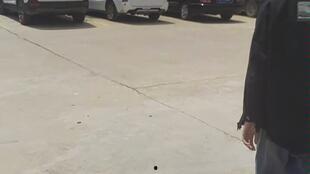 吃鸭瓜的视频,一场味蕾的视觉盛宴