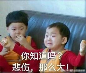 瓜哥吃瓜送礼是真的吗,揭秘网络热传事件的真实性  第3张