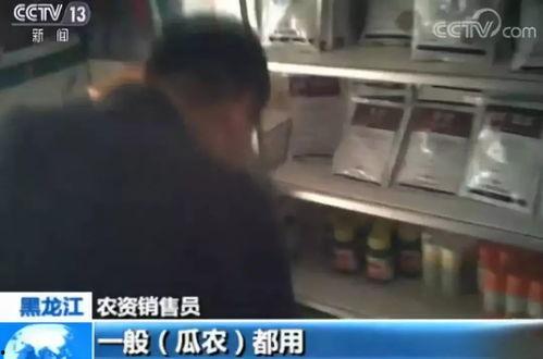 吃瓜爆料视频在哪看,热门平台一览  第2张