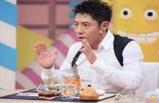 撒贝宁吃瓜群众,吃瓜群众的“瓜王”之路  第3张