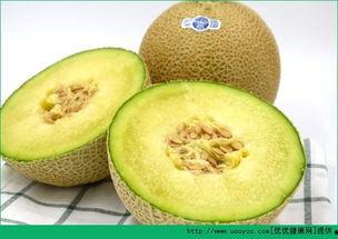 哈密瓜孕妇可以吃几片,孕妇每日适宜食用量揭秘  第1张