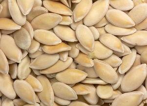 吃芝麻瓜的好处,营养丰富的健康美食佳选  第1张