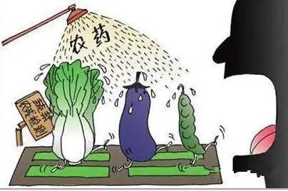 吃瓜 者被农药吃死了  第3张