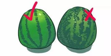 吃瓜小圈圈,网络舆论场中的趣味与真相  第2张