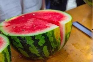 吃瓜大学餐厅,舌尖上的校园美食之旅  第2张