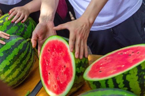 吃瓜大学餐厅,舌尖上的校园美食之旅  第3张