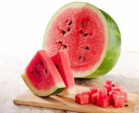 2025艺考吃瓜,揭秘娱乐圈新星的“吃瓜”之旅  第2张