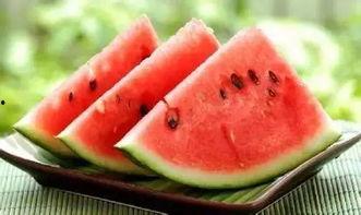 2025艺考吃瓜,揭秘娱乐圈新星的“吃瓜”之旅  第3张