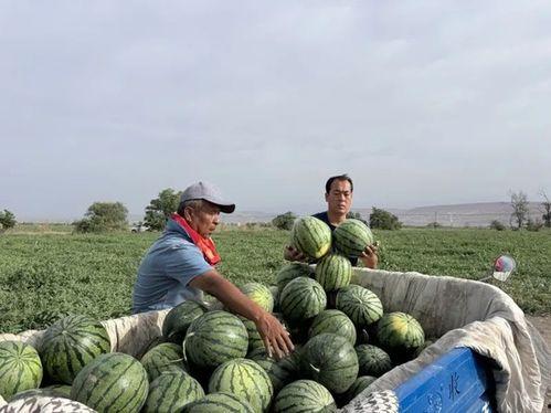 吃瓜无底洞,揭秘娱乐圈背后的秘密与真相  第2张