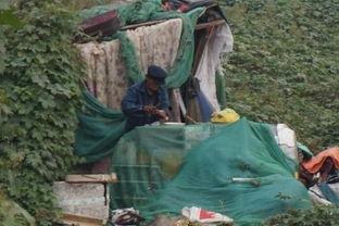 捡破烂的吃瓜大军,吃瓜群众的另类生活画卷 第2张 捡破烂的吃瓜大军,吃瓜群众的另类生活画卷 第2张