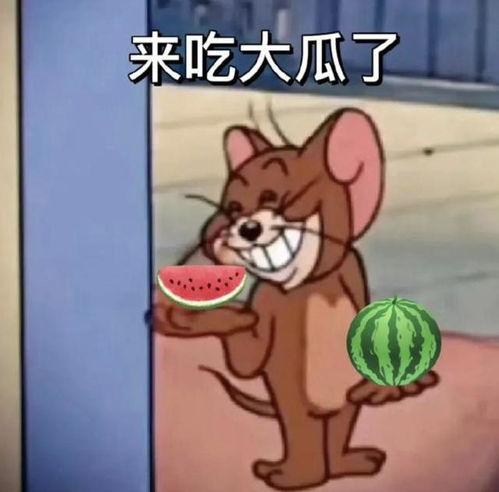 于适吃瓜博主,娱乐圈幕后真相大曝光  第3张