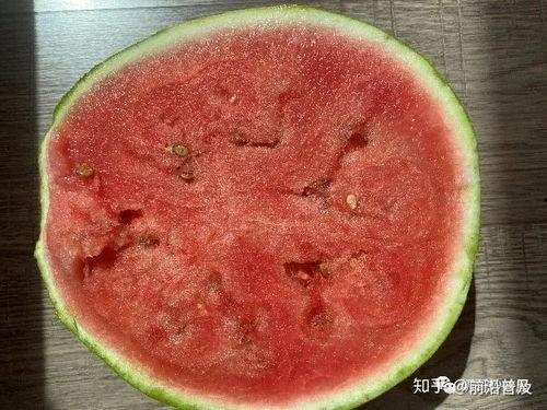 道具吃瓜系列  第1张