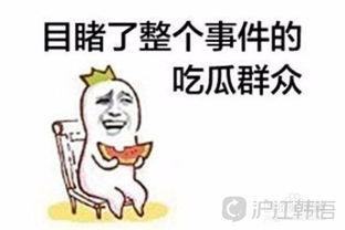 吃瓜群众使用示例,网络时代的围观力量 第1张 吃瓜群众使用示例,网络时代的围观力量 第1张