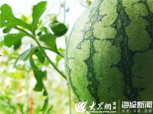 五一在线吃瓜,揭秘热门事件背后的真相  第2张