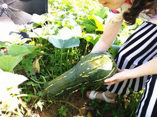 四姨子吃瓜原版,揭秘娱乐圈背后的八卦风云 第1张 四姨子吃瓜原版,揭秘娱乐圈背后的八卦风云 第1张