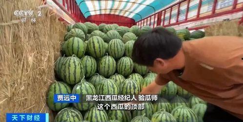 华宝吃瓜,揭秘娱乐圈幕后故事 第3张 华宝吃瓜,揭秘娱乐圈幕后故事 第3张