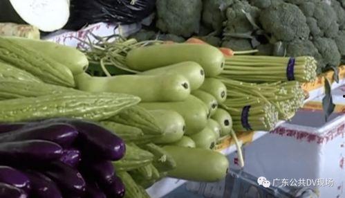 农村吃瓜中毒,食品安全不容忽视 第1张 农村吃瓜中毒,食品安全不容忽视 第1张