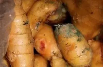 农村吃瓜中毒,食品安全不容忽视 第3张 农村吃瓜中毒,食品安全不容忽视 第3张