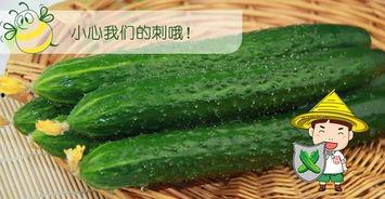 吃瓜应该配什么bgm,揭秘吃瓜最佳BGM  第3张